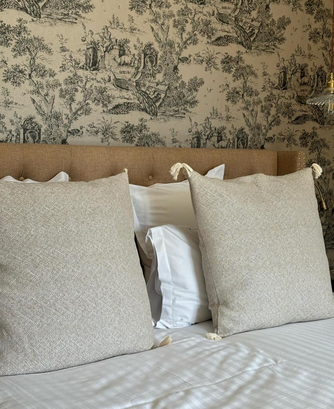 Castel Bois Marie, Maison D'Hotes Montauban Eksteriør bilde Cushions on a bed